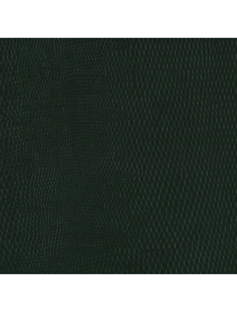 Berlijnse hagedis klaver materiaal staal