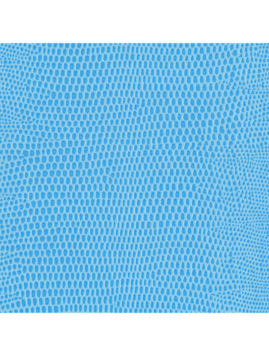 Berlijnse hagedis poeder blauw materiaal staal