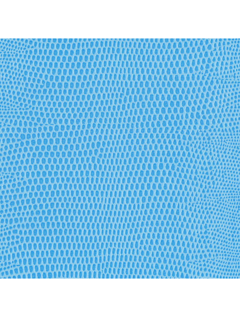 Berlijnse hagedis poeder blauw materiaal staal