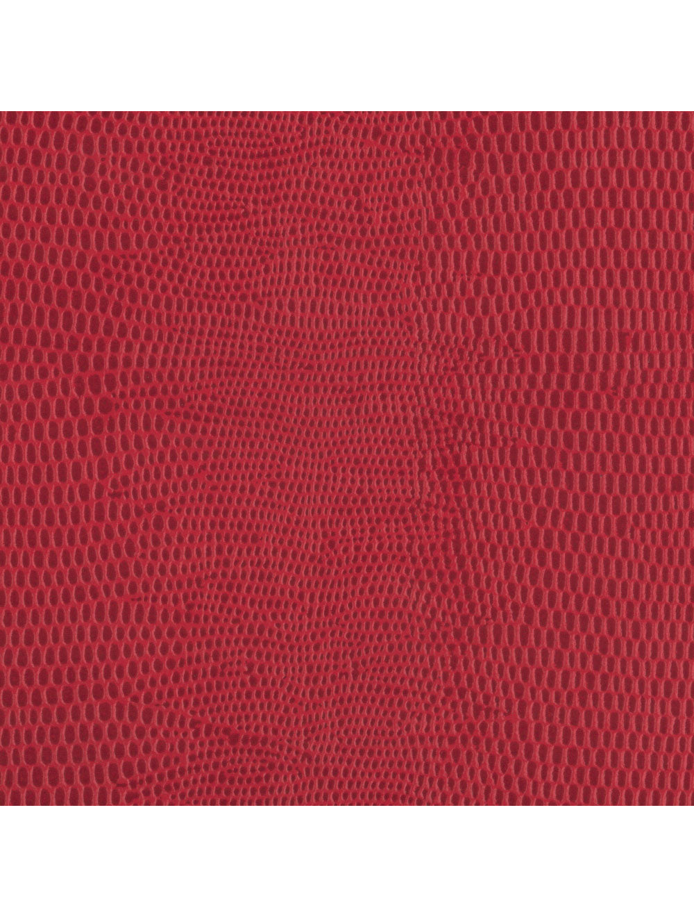 Berlijnse hagedis Perzisch rood materiaal staal