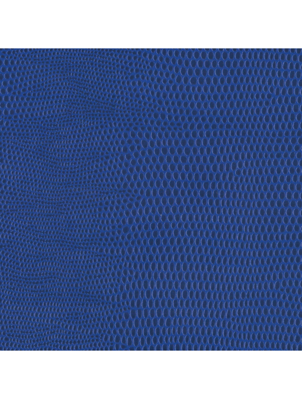 Berlijnse hagedis indigo materiaal staal