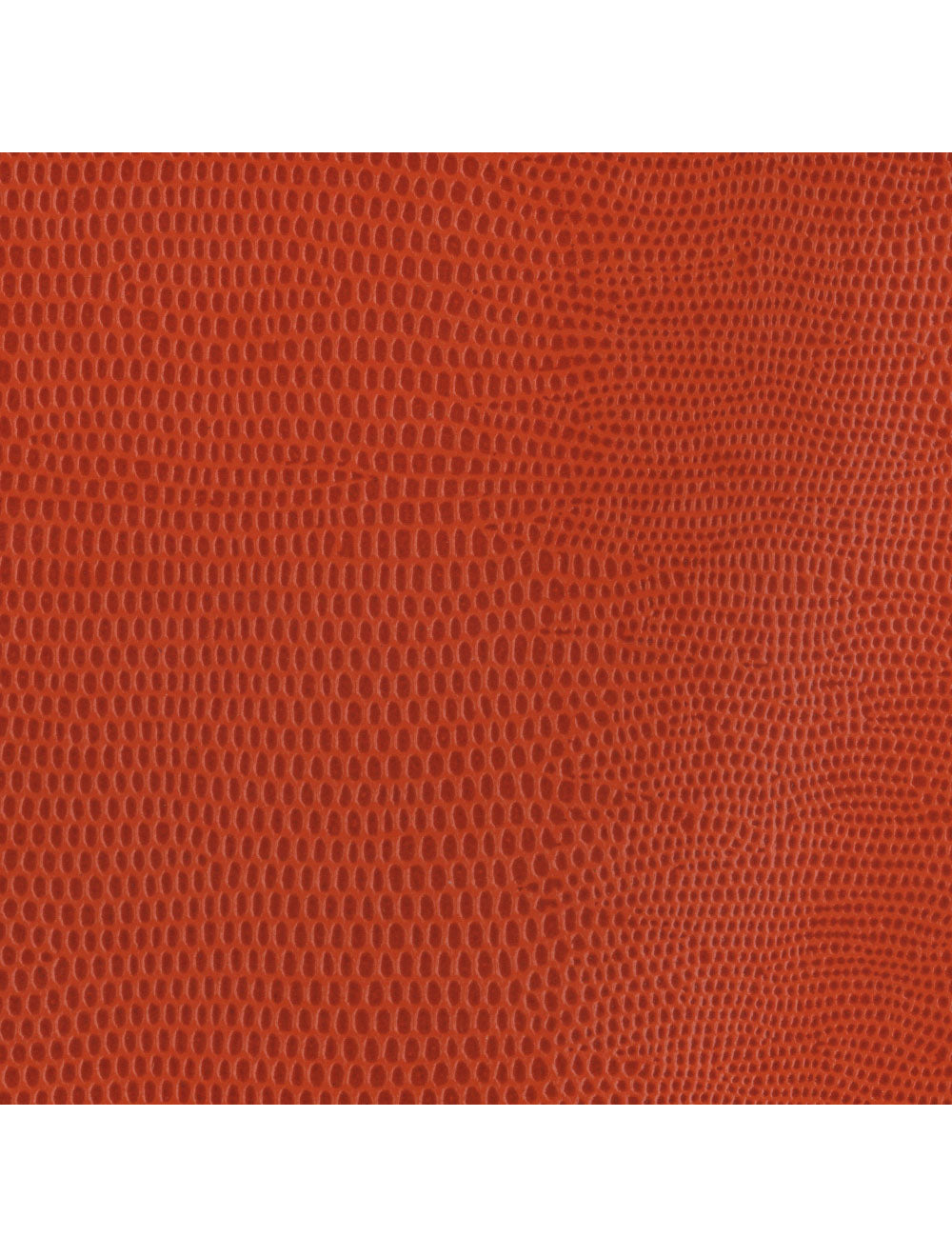 Berlijnse hagedis oranje materiaal staal