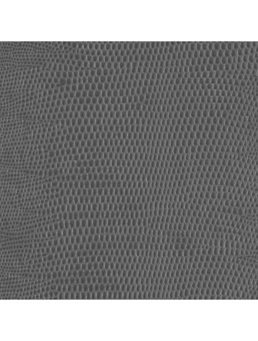 Berlijnse hagedis lichtgrijs materiaal staal