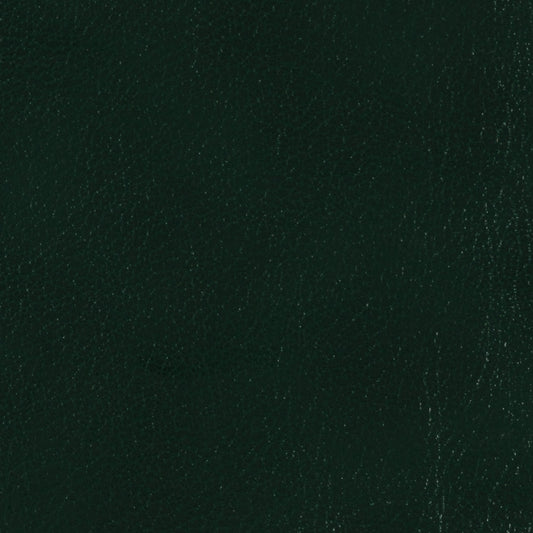 Edinburgh Pine Material Swatch